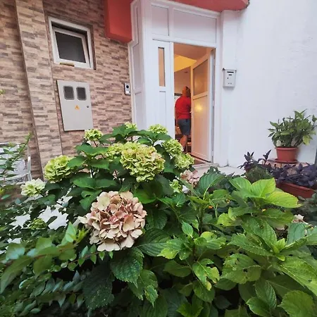Apartment Kiki
